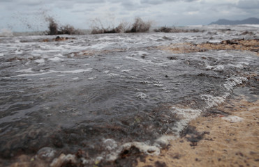 cloudy seascape with algae in the east coast of the island of mallorca