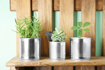 Wooden shelf with aluminum cans used as containers for growing plants