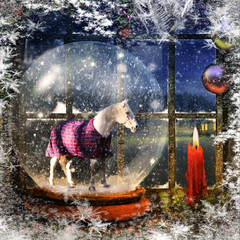 Winter Warm Andalusian Horse 