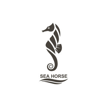 icon of seahorse on isolated white background