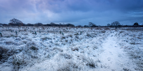 Snow English Countryside