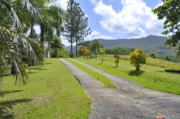 Croydon Plantation, Jamaica