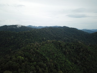 Fototapeta na wymiar Rainforest. Forest trees from above. Aerial photo of jungle