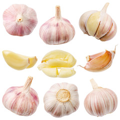 Collection of garlic isolated on white.