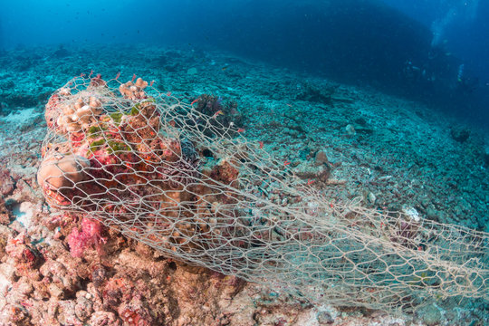 An abandoned ghost net wrapped around coral on a tropical reef