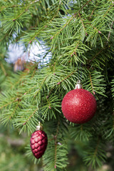 Red Christmas Decorative Ornaments hanging on Pine Tree Branch