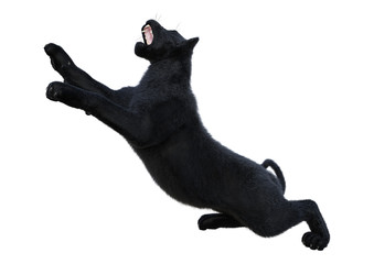 3D Rendering Black Panther on White