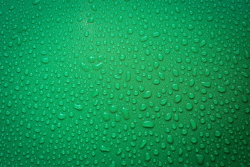Water Drops On Green Background.
