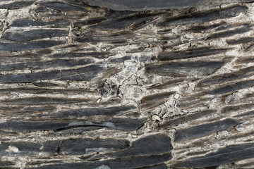Washed stones on a beach