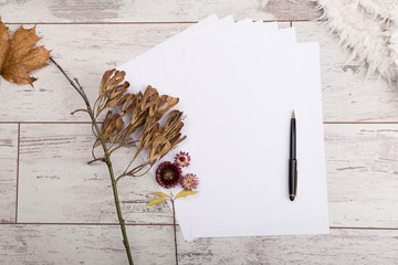 white paper with autumn leaves