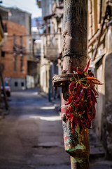 Streets of Tbilisi. Spices, Peppers Georgia Caucasus