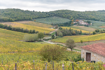 Fototapeta na wymiar autumn in the hills of Siena with ancient farms and vineyards