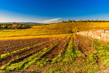 Fototapeta na wymiar sunset over the chianti hills in autumn in province of Siena Tuscany Italy...