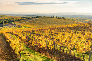 sunset over the chianti hills in province of Siena Tuscany Italy