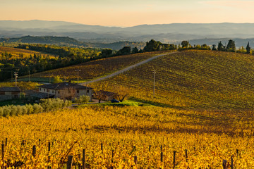 sunset over the chianti hills in province of Siena Tuscany Italy