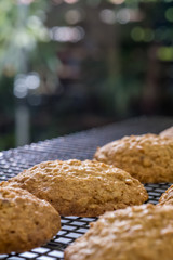 Close up Homemade Malt and Oat Cookie Sandwiches . (selective Focus)