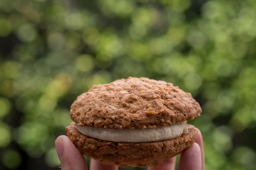 Close up Homemade Malt and Oat Cookie Sandwiches . (selective Focus)