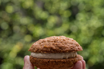 Close up Homemade Malt and Oat Cookie Sandwiches . (selective Focus)