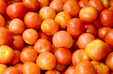 Delicious red tomatoes. Organic tomatoes. Fresh tomatoes. It can be used as background. (selective focus)