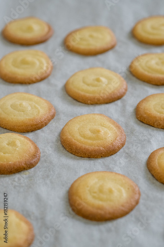 Cat Tongue Cookies House Close Up Homemade White Chocolate Cat S Tongue Cookies Selective Focus
