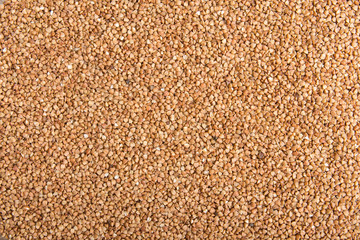 buckwheat background