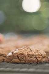Close up Homemade Chocolate Cookie Sandwiches . (selective Focus)