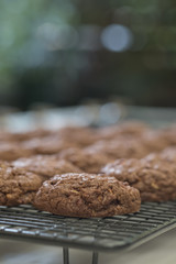 Close up Homemade Chocolate Cookie Sandwiches . (selective Focus)