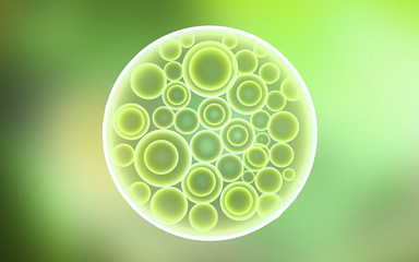 3d rendered Digital illustration of blastocyst in colour background