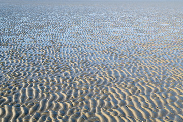 Lower Saxon Wadden Sea National Park near Cuxhaven/ Germany