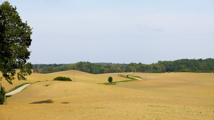 dirt road © Angelika