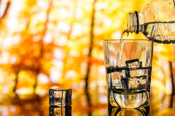 Glass of Water with ice cubes on Autumn Background