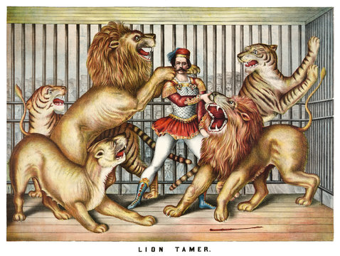 Brave lion tamer surrounded by hungry beasts in a cage. Old illustration by unidentified author, publ. in Cincinnati, 1873