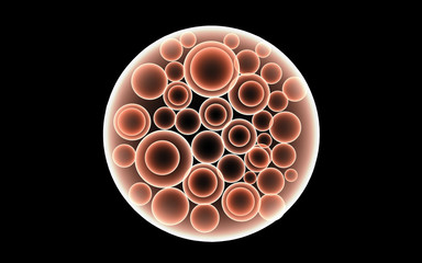 3d rendered Digital illustration of blastocyst in dark background