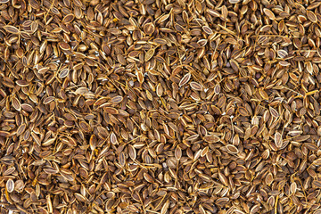 fresh cumin seed on background