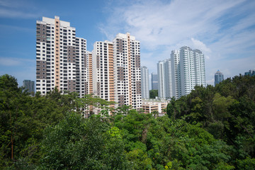 Fototapeta na wymiar Residential buildings in Singapore, among green parks