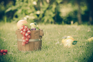 fruit in wood basket at backyard