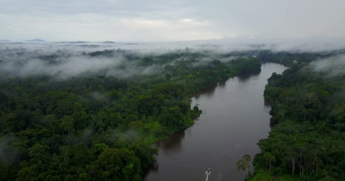 Suriname river