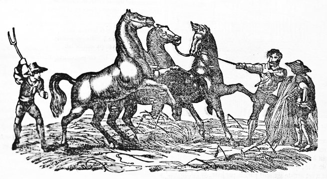 Ancient farmers taming horses for the threshing wheat. Old Illustration by unidentified author published on Magasin Pittoresque Paris 1834