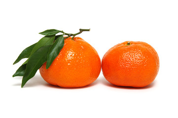 Tangerine or clementine with green leaf