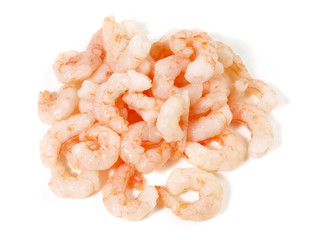 Eismeer Shrimps