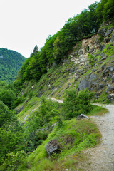 Very nice view of the mountains and forests of Abkhazia
