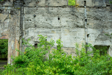 Ruins of the side of the building on the shore of Lake Ritsa. Abkhazia