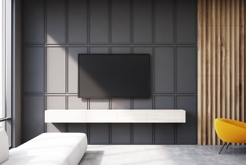Gray and wooden living room tv and sofa closeup