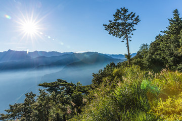 Morning view of shining sun on clear blue sky over complicated mountain range at Zhushan forest, Alishan Recreation Area of Taiwan.