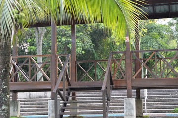 Tropical Rain Forest