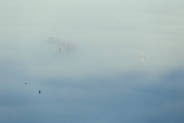 Early foggy morning over the outskirts of the city. Dense fog envelops wide areas. Tops of trees and church sticking out of the fog.