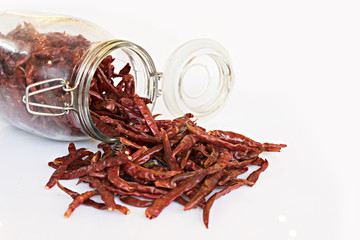Dried Chilli in bottom is ingredient for Thai food on isolated white