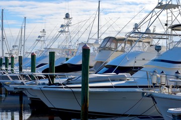 Luxury boats at a marina Florida, USA