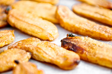 Fly swarm around fry food exposed to sunlight. Files disease risk. Close up and macro.