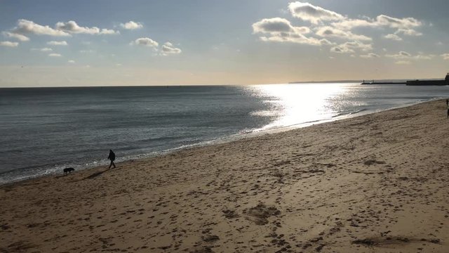 Winter Sunshine Dog and Beach